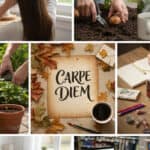 Praktische inspiratie voor huis, tuin en dagelijks leven